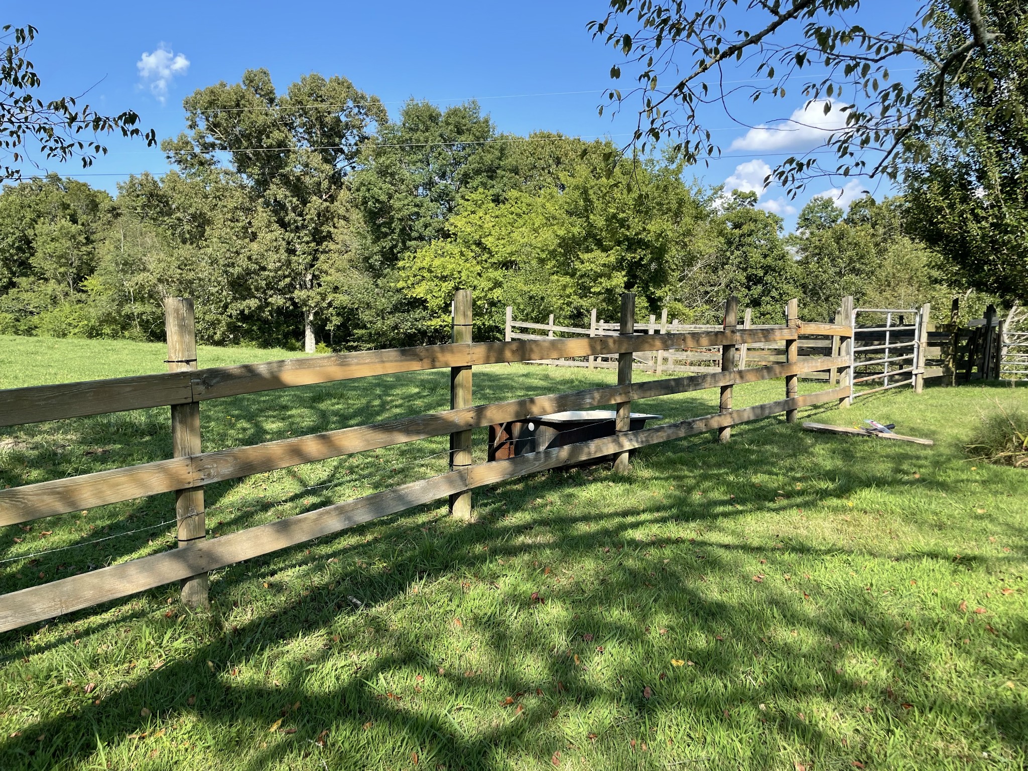 159 Trace Creek Road Hohenwald, TN 38462 - Photo 39 of 42 a view of backyard with seating area and green space