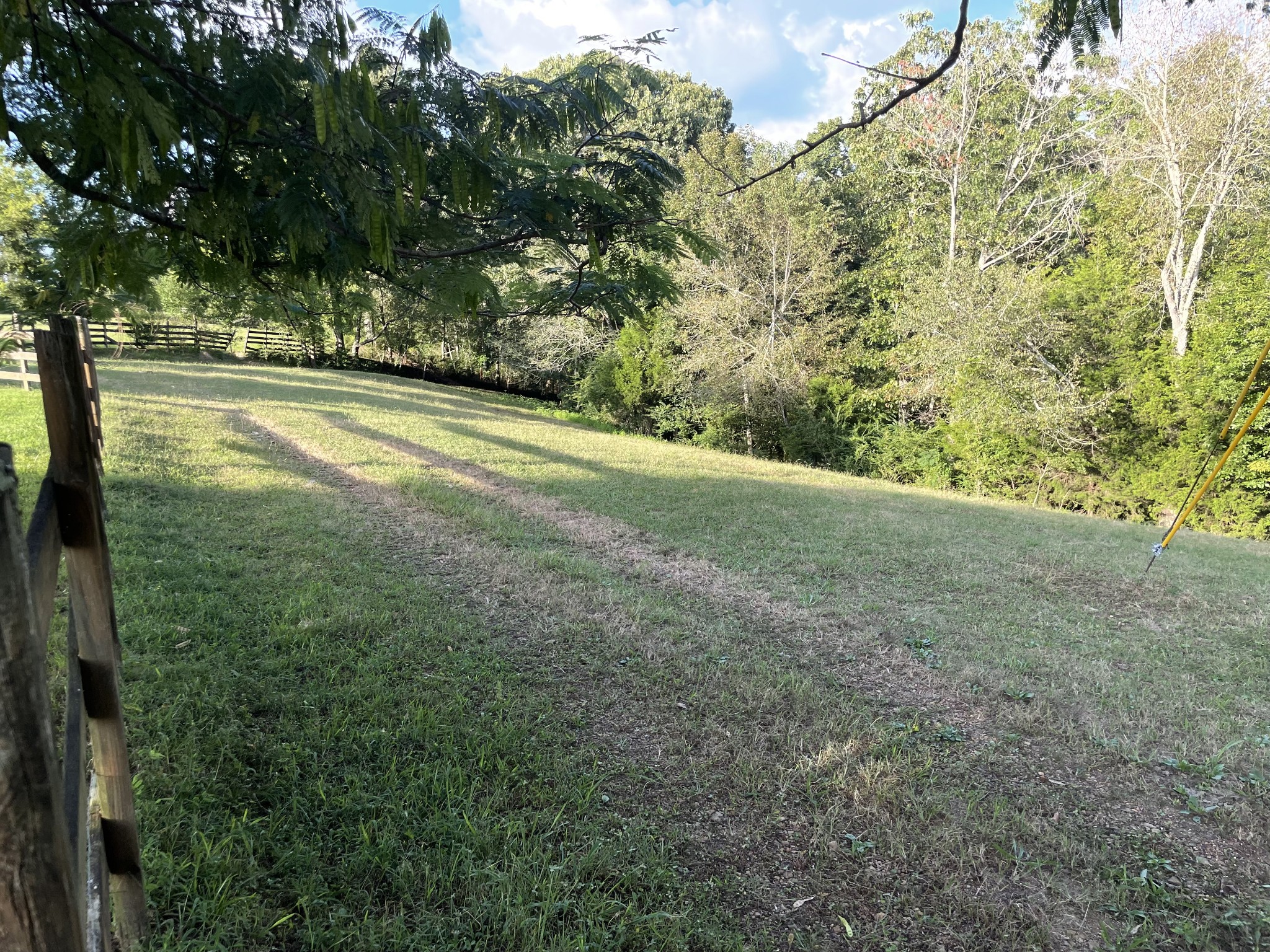 159 Trace Creek Road Hohenwald, TN 38462 - Photo 42 of 42 a view of yard with green space