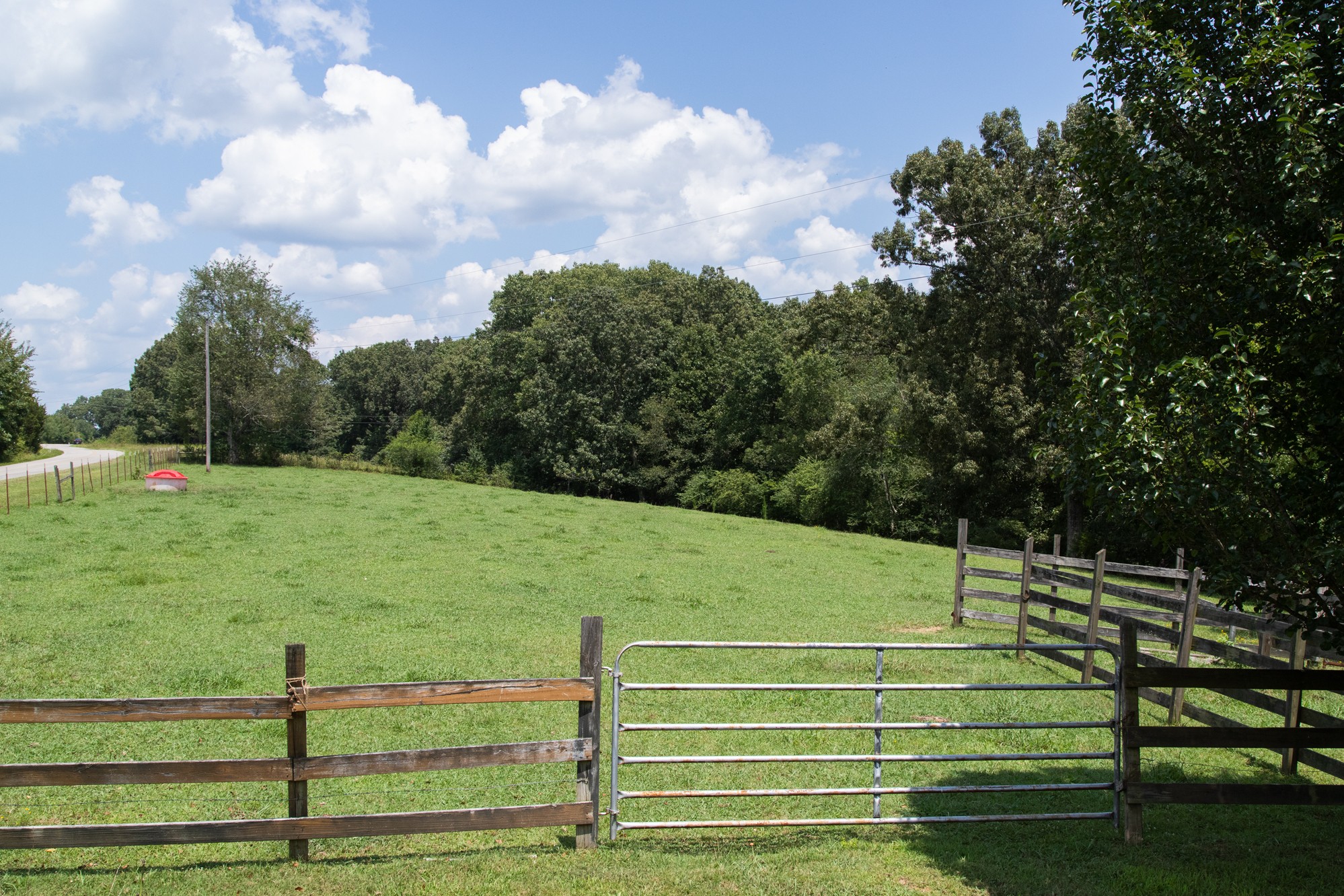 159 Trace Creek Road Hohenwald, TN 38462 - Photo 6 of 42 a view of a park
