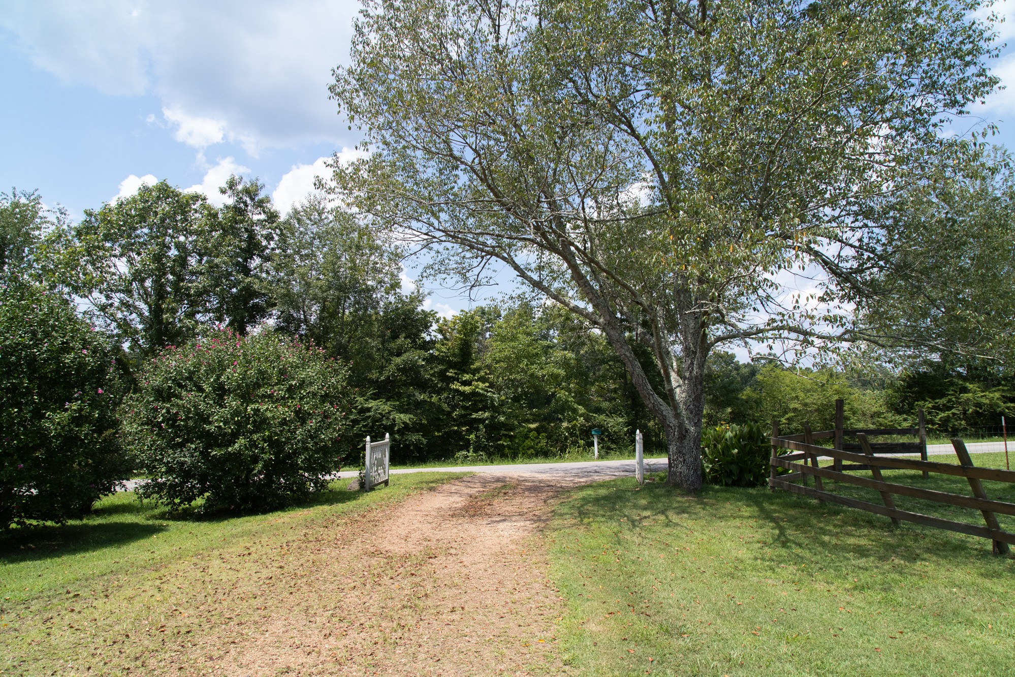 159 Trace Creek Road Hohenwald, TN 38462 - Photo 7 of 42 a view of a yard with a tree