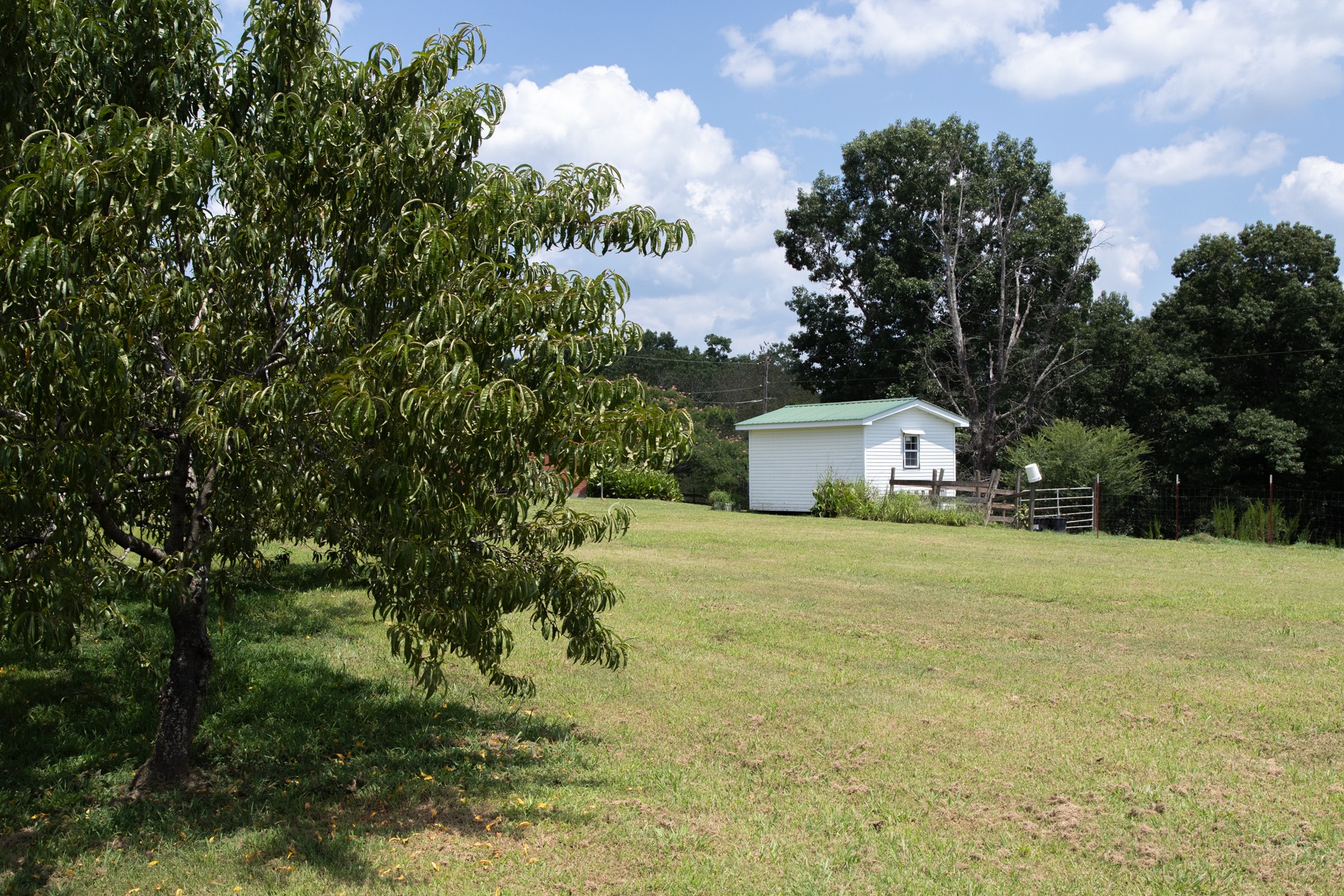 159 Trace Creek Road Hohenwald, TN 38462 - Photo 9 of 42 a tall yellow house in middle of a field