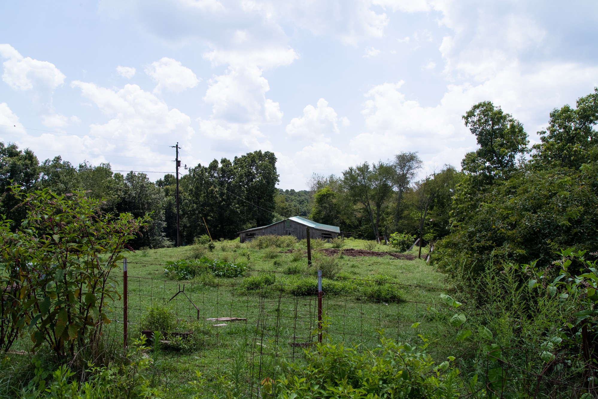 159 Trace Creek Road Hohenwald, TN 38462 - Photo 10 of 42 a view of a green field with lots of bushes