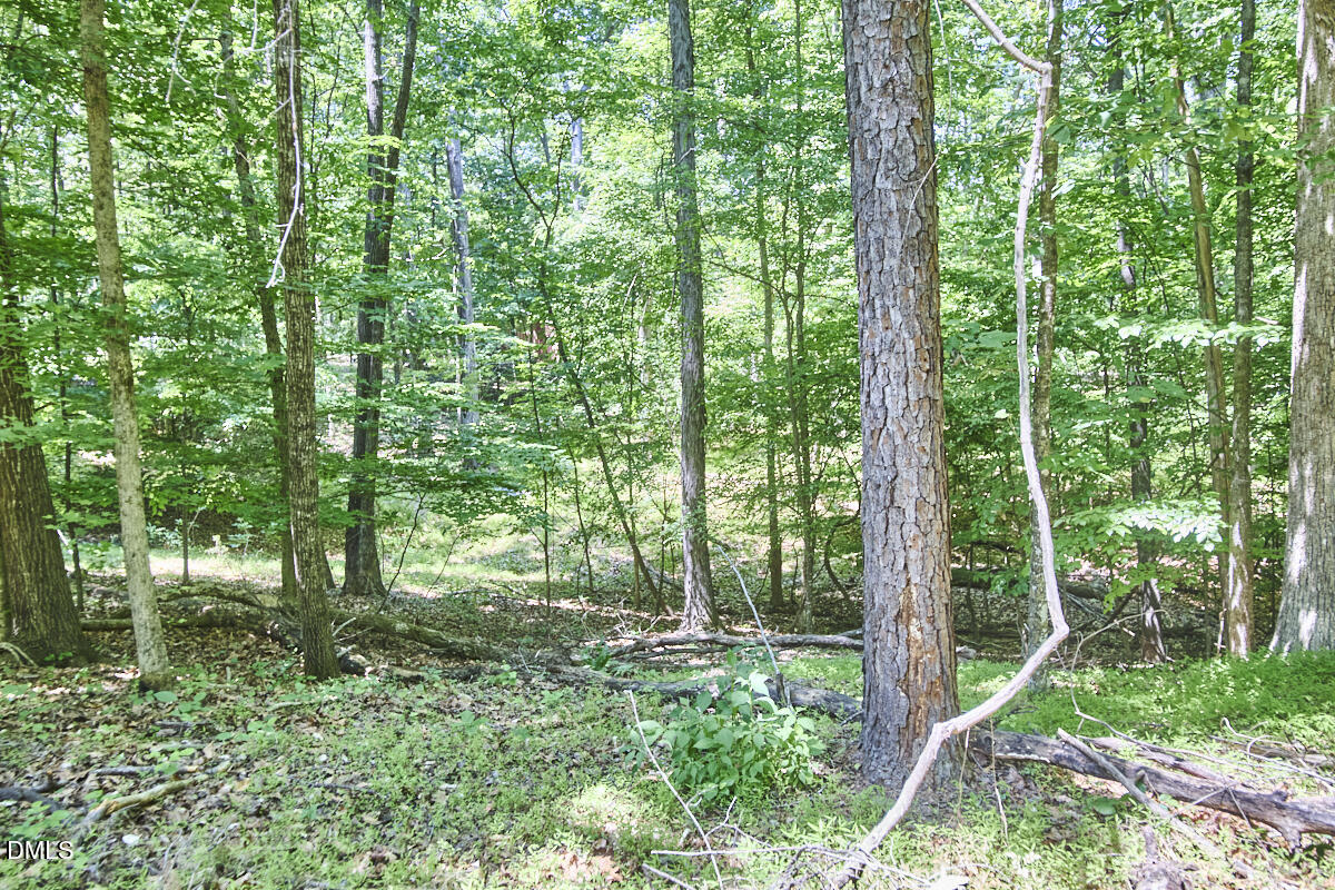 4204 Kerley Road Durham, NC 27705 - Photo 28 of 34 a view of outdoor space and green space