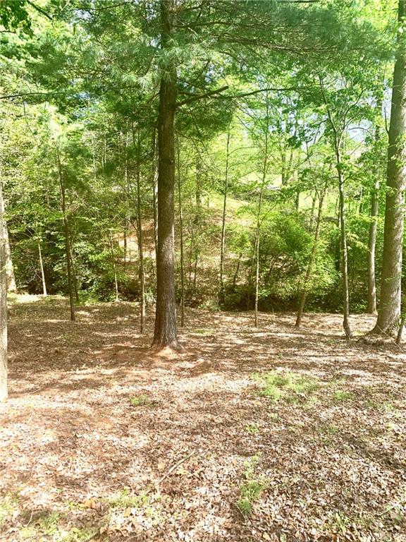 30 Players Ridge Road, Unit 30/PORTION 29 Hickory, NC 28601 - Photo 2 of 9 Gallery Image 2