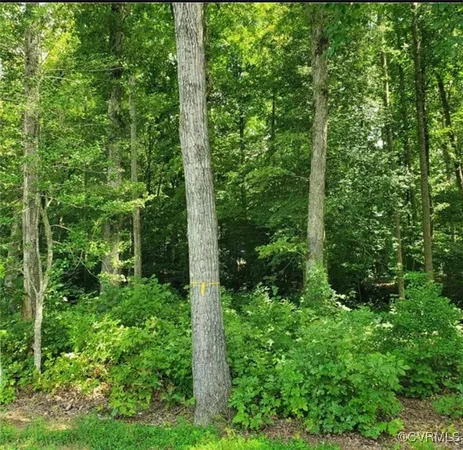 a view of a garden from a building
