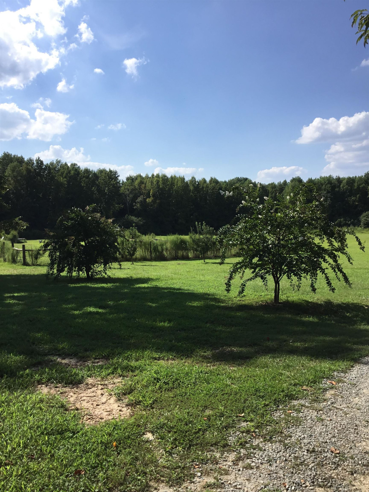 605 Ruffin Road Princeton, NC 27569 - Photo 9 of 29 Photo 9