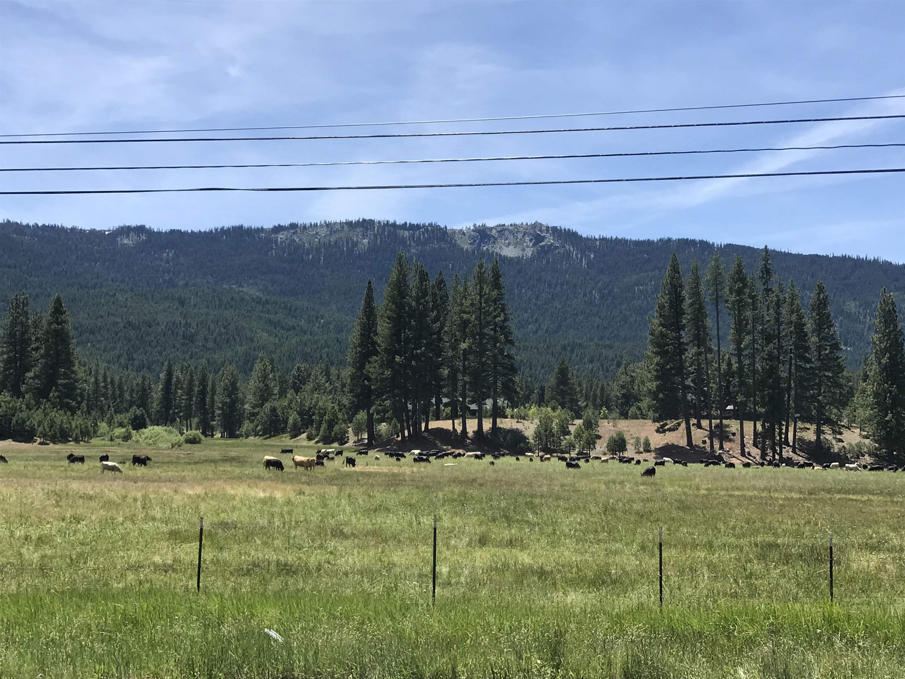 329 Clio State 40A Road Clio, CA 96106 - Photo 18 of 32