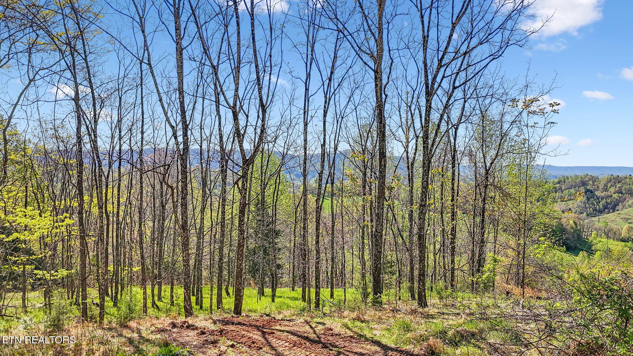 0 Bailey Cemetery Road Tazewell, TN 37879 - Photo 2 of 15 Views