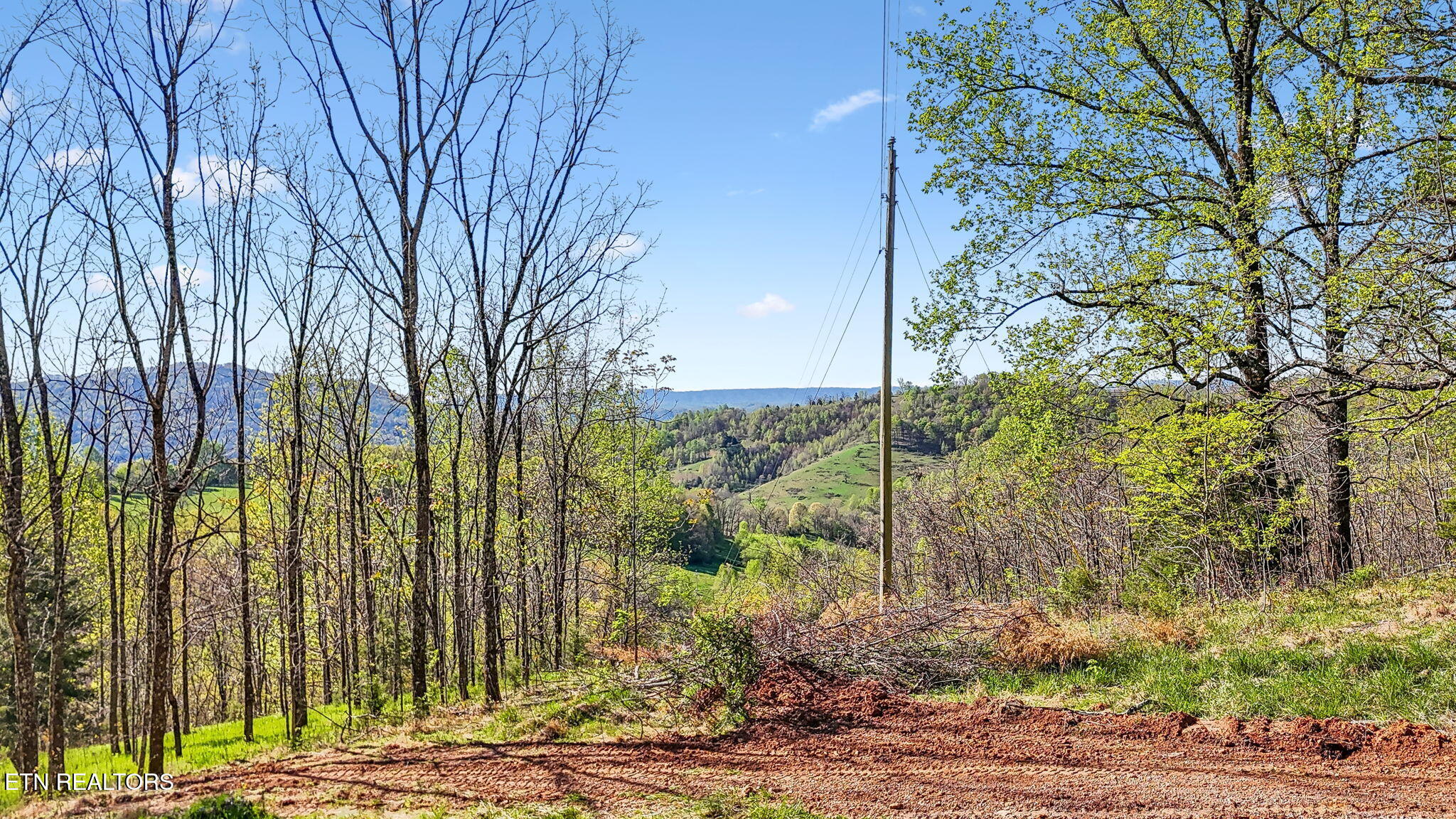 0 Bailey Cemetery Road Tazewell, TN 37879 - Photo 3 of 15 6-web-or-mls-Bailey Cemetery Dr - 007 (1