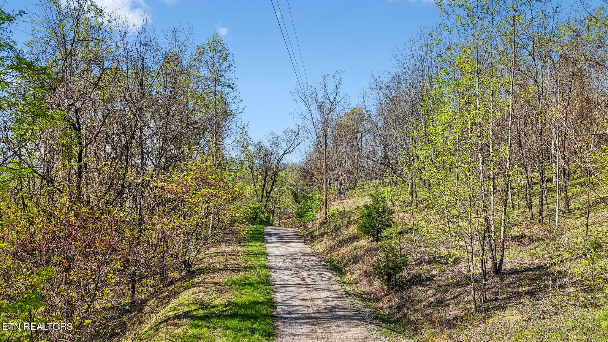 0 Bailey Cemetery Road Tazewell, TN 37879 - Photo 5 of 15 1-web-or-mls-Bailey Cemetery Dr - 002