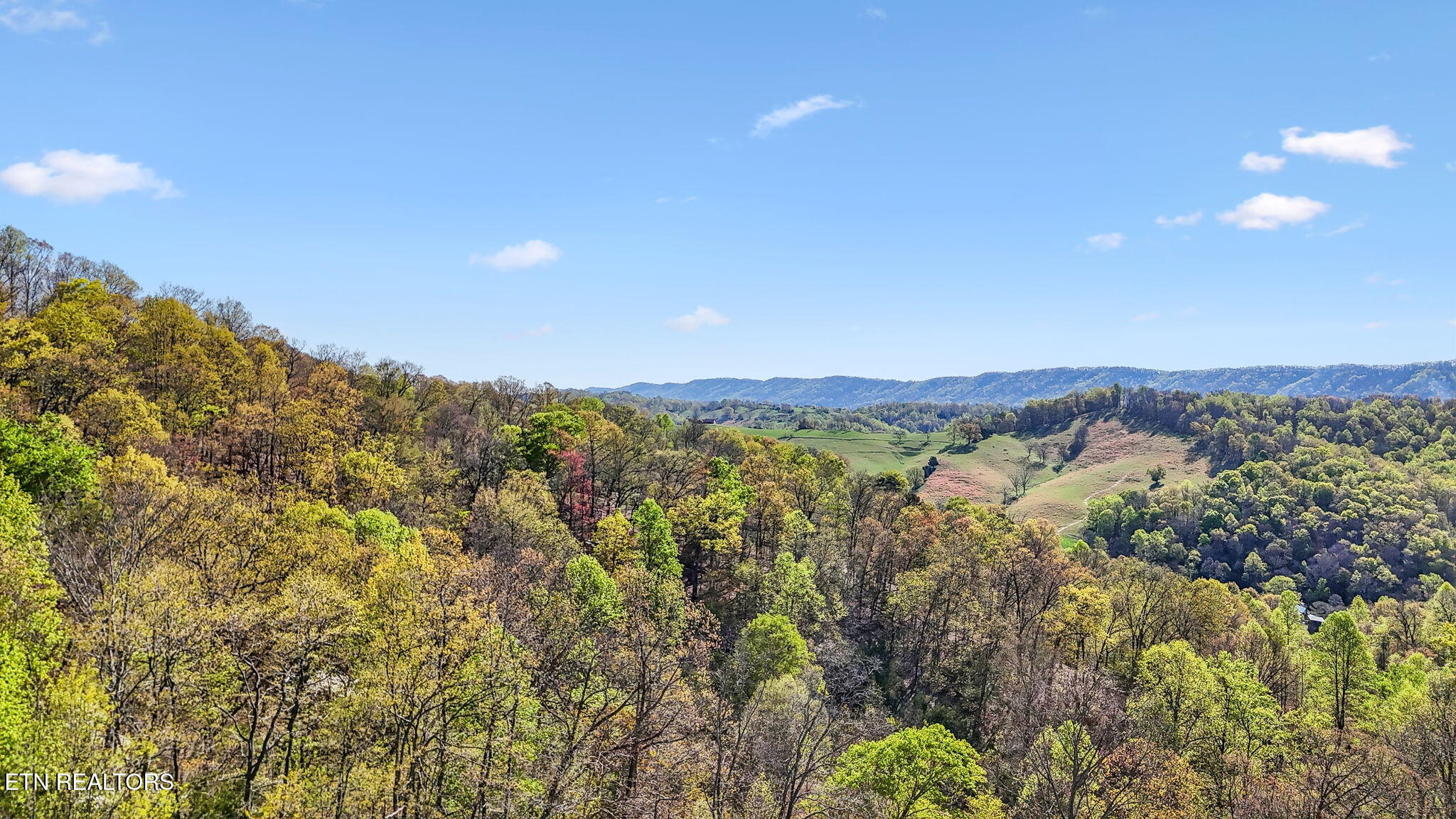 0 Bailey Cemetery Road Tazewell, TN 37879 - Photo 6 of 15 8-web-or-mls-Bailey Cemetery Dr - 009