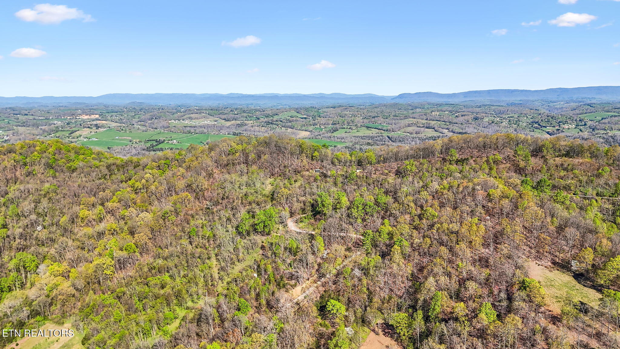 0 Bailey Cemetery Road Tazewell, TN 37879 - Photo 7 of 15 9-web-or-mls-Bailey Cemetery Dr - 010
