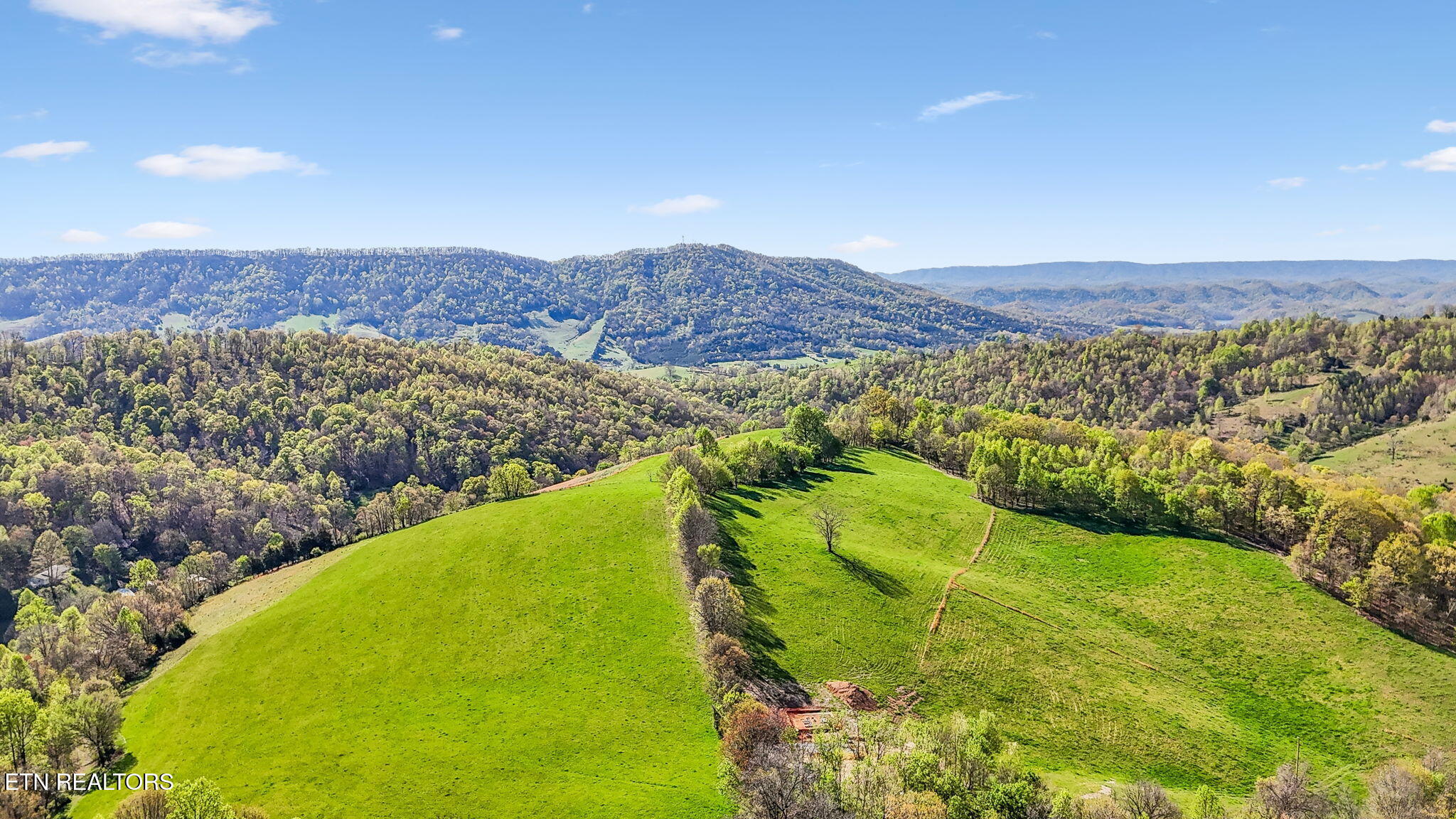 0 Bailey Cemetery Road Tazewell, TN 37879 - Photo 10 of 15 25-web-or-mls-Bailey Cemetery Dr - 026