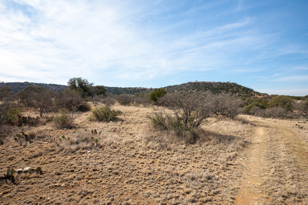 2 Salt Branch Loop, Unit 2 Doss, TX 78618 - Photo 4 of 6 Gallery Image 4