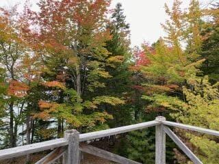 21 Morang Cove Road Lubec, ME 04652 - Photo 9 of 12 p3