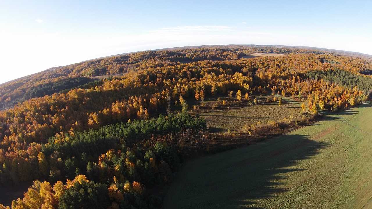 20517 13 Mile Road Copemish, MI 49625 - Photo 59 of 63 1809510-58.JPG