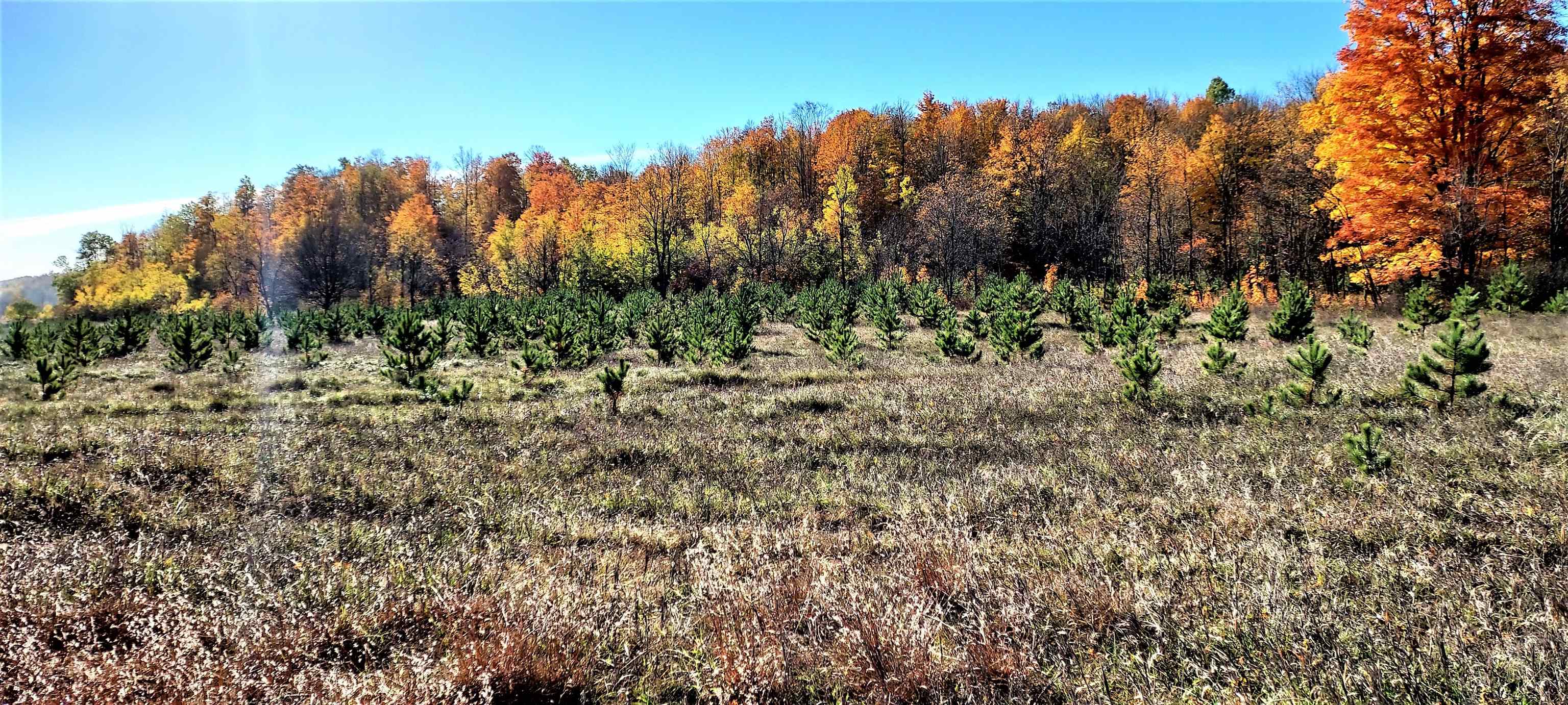 0 Twin Peaks Road Frederic, MI 49733 - Photo 7 of 35 Gallery Image 7