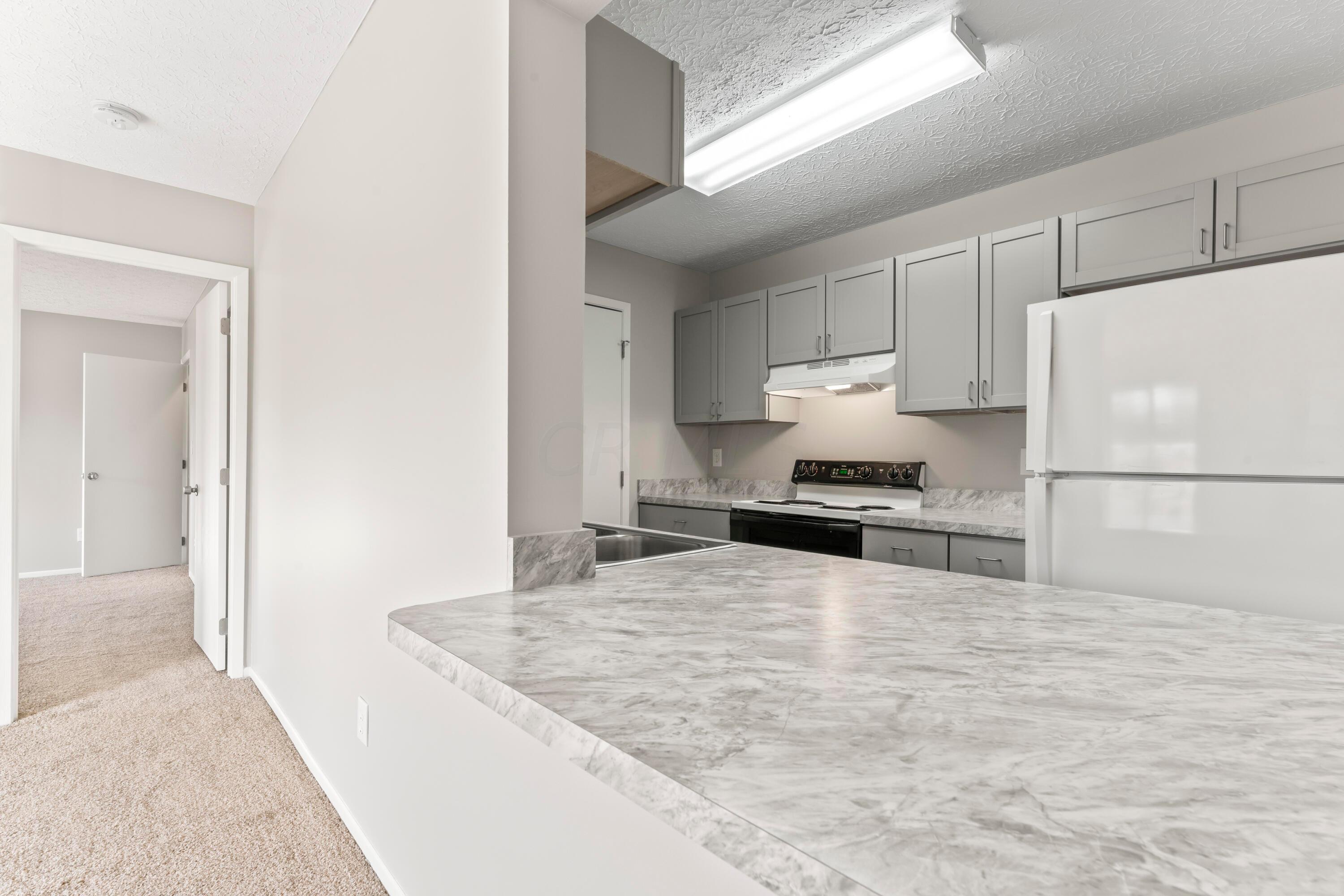 3967 Karl Road, Unit 315 Columbus, OH 43224 - Photo 10 of 26 Kitchen