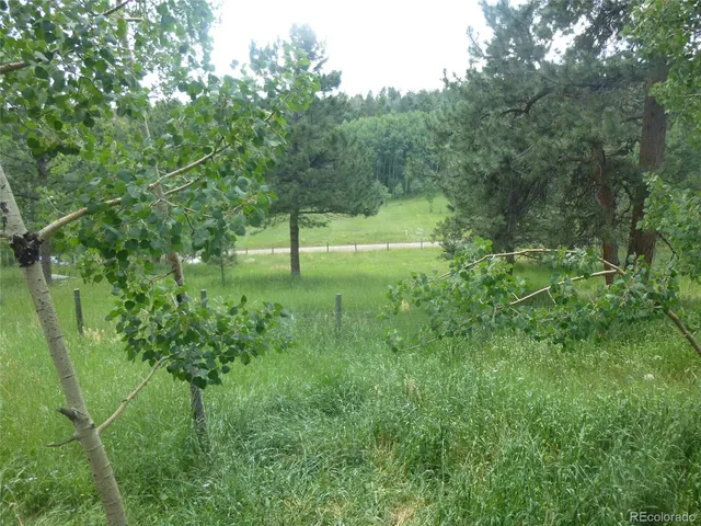 a view of outdoor space and yard