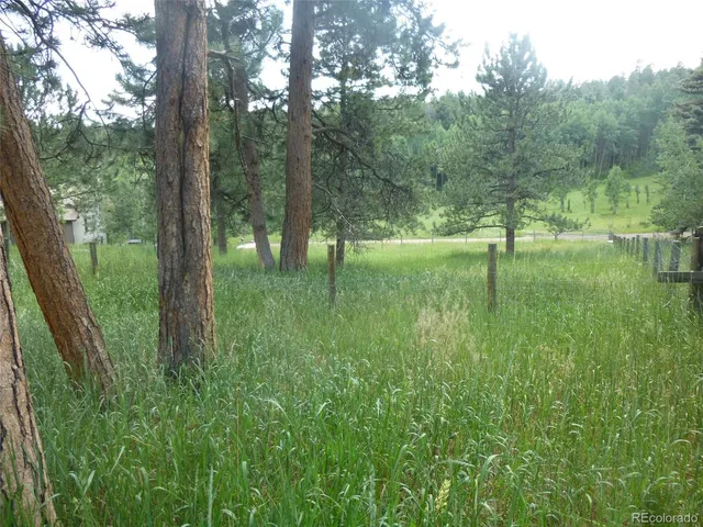 a backyard of a house with lots of green space and fountain