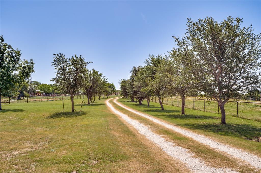 243 ROCK Court Decatur, TX 76234 - Photo 3 of 25 Gravel driveway bordered by mature trees and expansive grassed areas