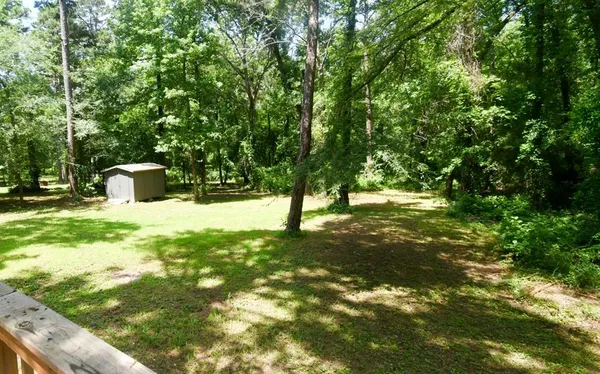 a view of a yard with a tree