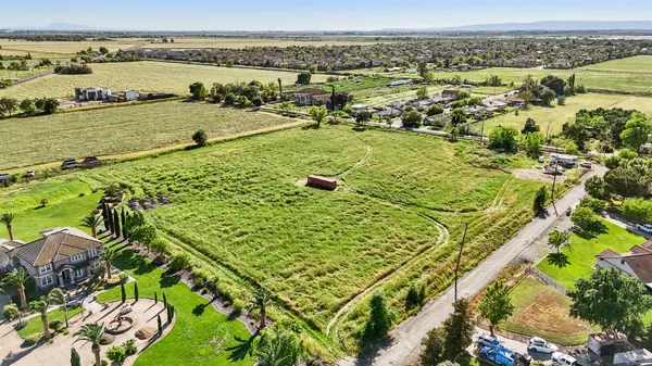 a view of a big yard with plants and large trees