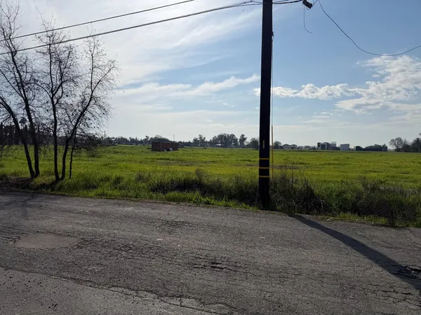a view of a yard with a big yard