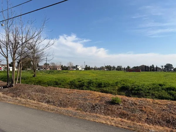 a view of a yard with an trees