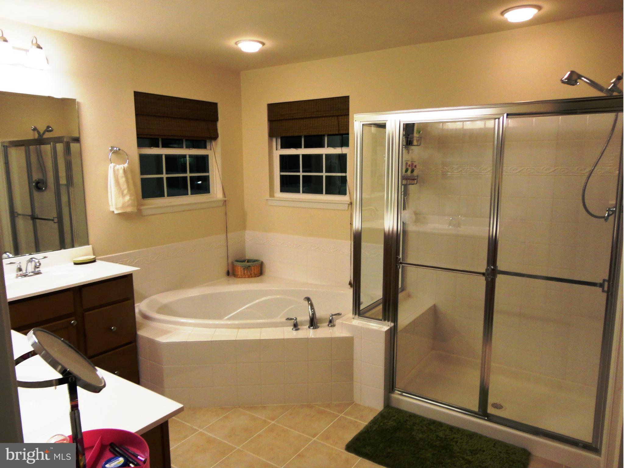 14302 Lusby Ridge Road Accokeek, MD 20607 - Photo 19 of 30 Master Bath w/ Soaking Tub & Shower