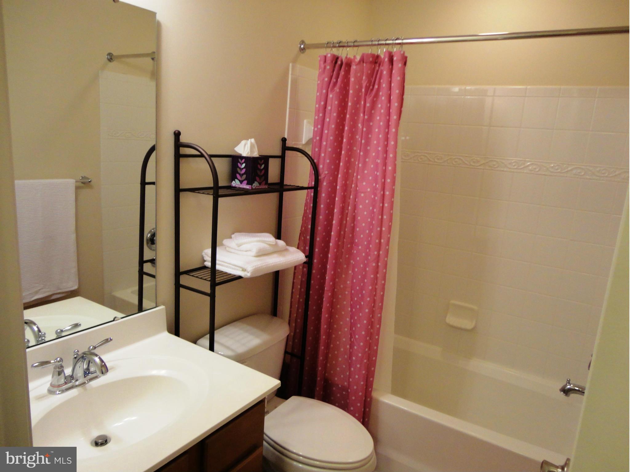 14302 Lusby Ridge Road Accokeek, MD 20607 - Photo 25 of 30 Hall Bathroom