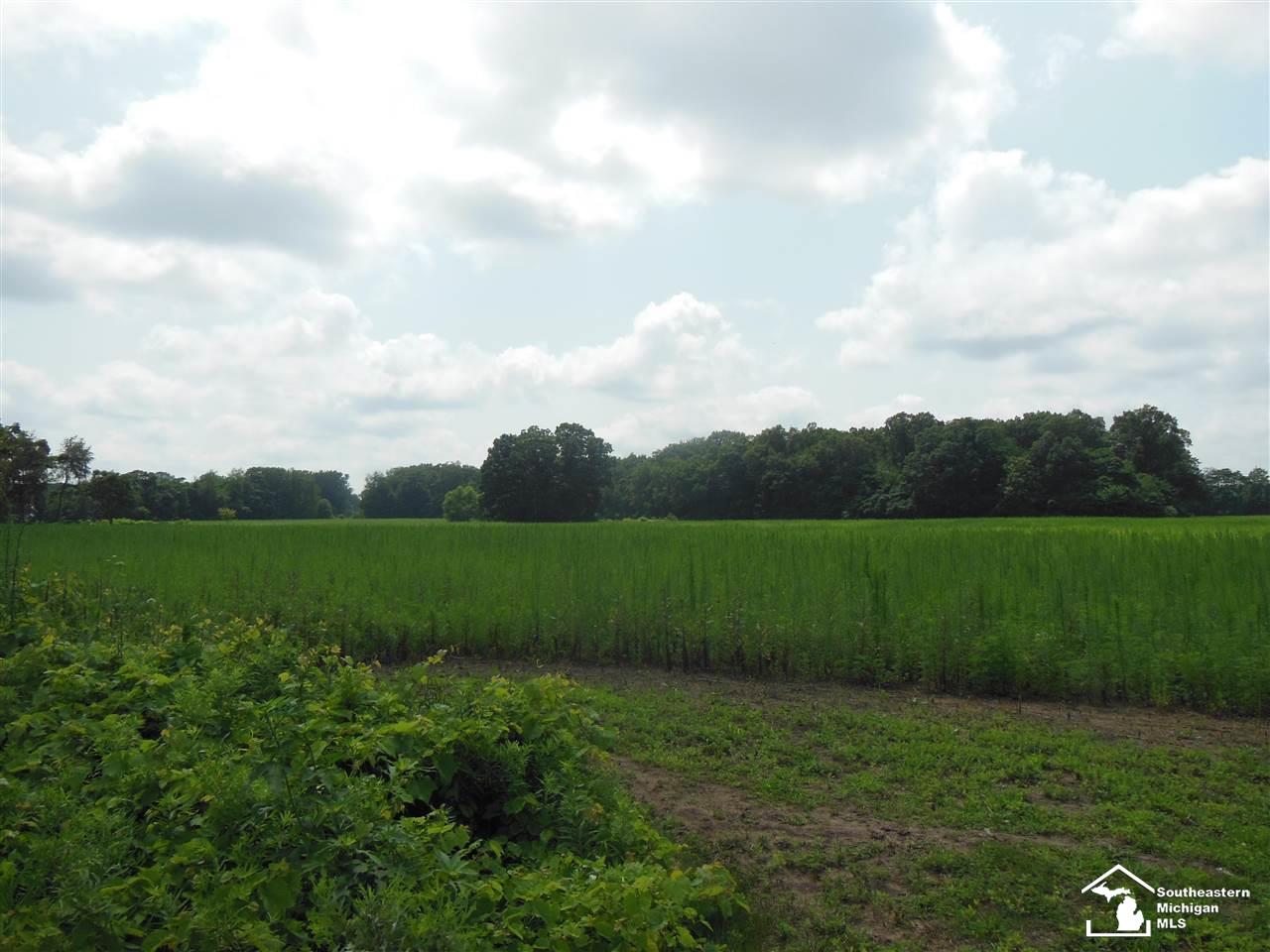 Parcel 3 Wells Road Petersburg, MI 49270 - Photo 5 of 6