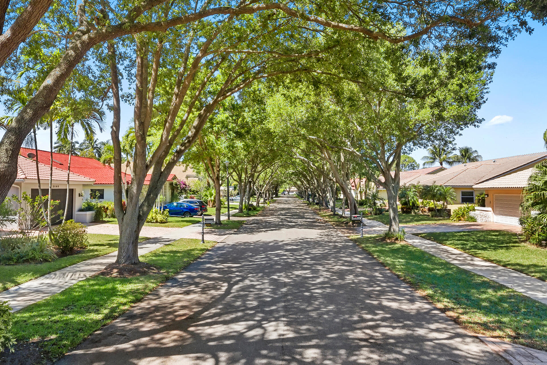 2530 Northwest 40th Street Boca Raton, FL 33434 - Photo 26 of 35 a tree in the middle of a yard