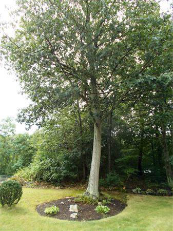 16 Patrick Road Hopedale, MA 01747 - Photo 21 of 24 Gallery Image 21