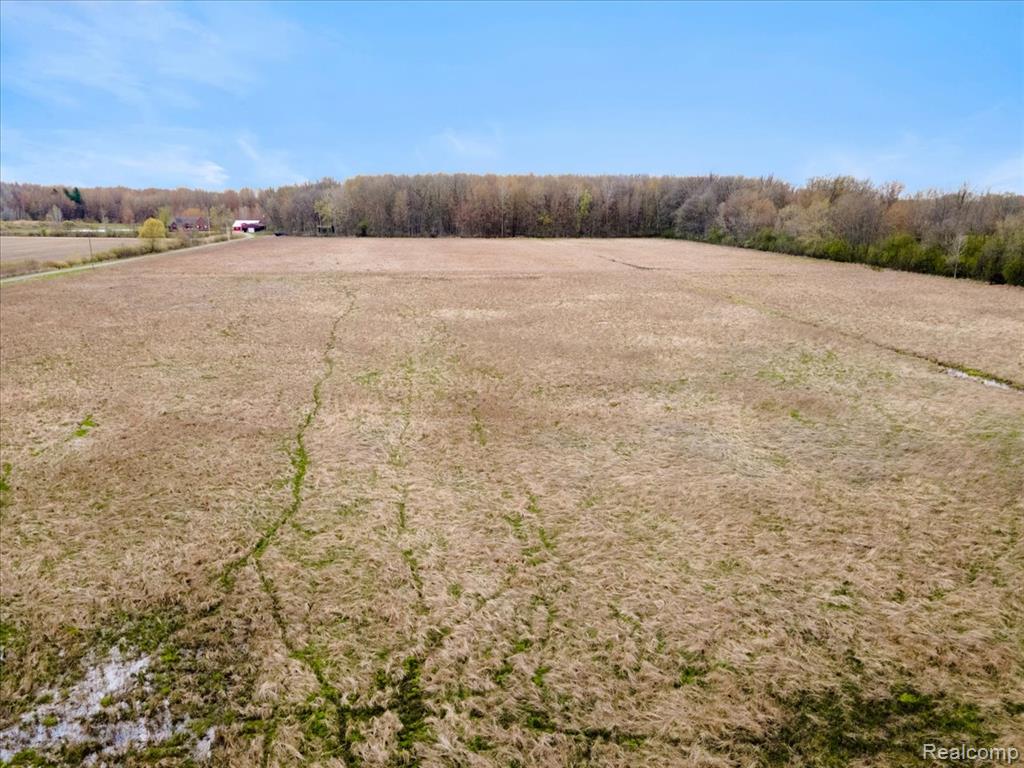 Vl Cribbins Road Avoca, MI 48006 - Photo 2 of 8