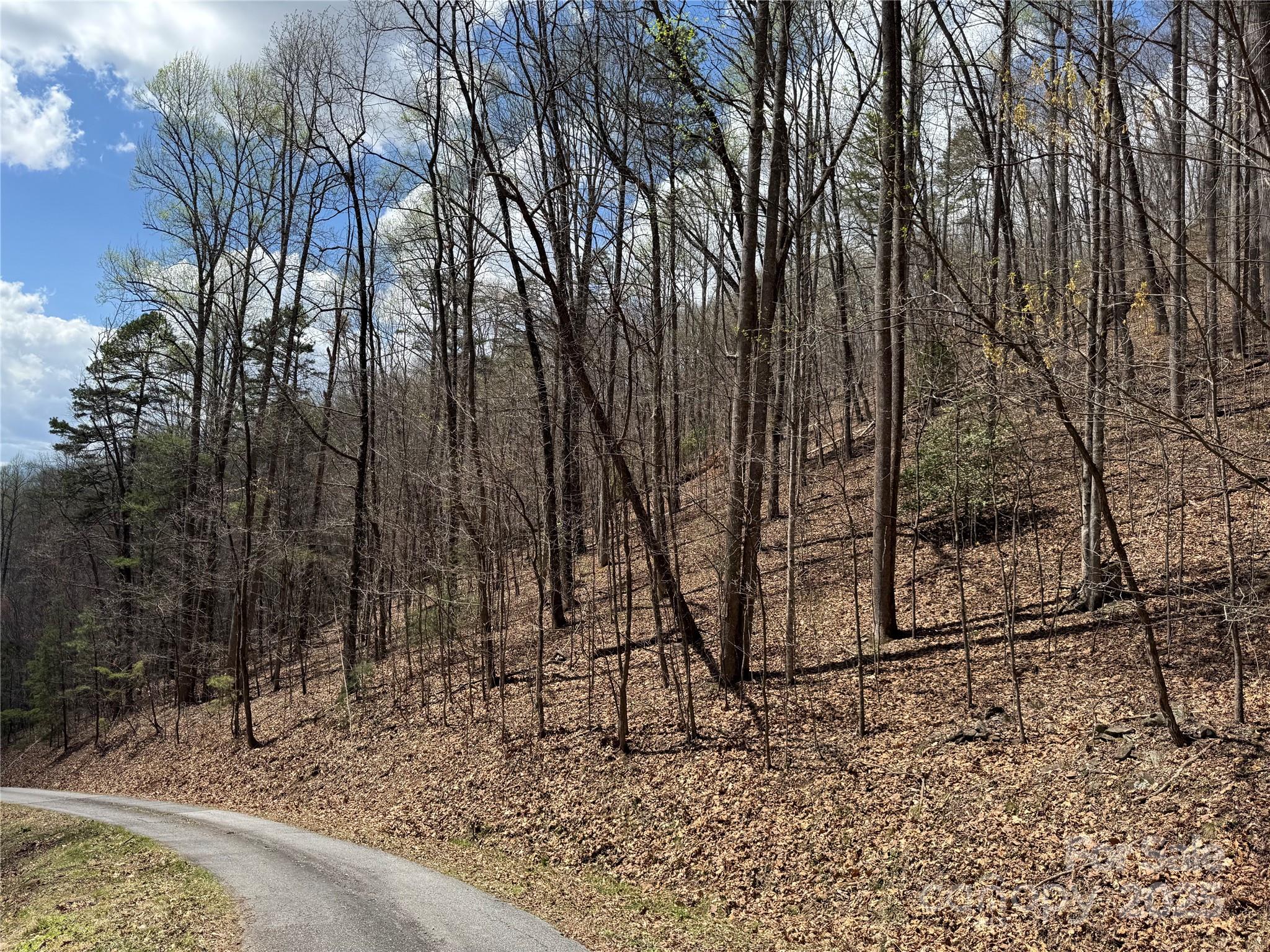 0 Forest Hills Road Bryson City, NC 28713 - Photo 2 of 4 Gallery Image 2
