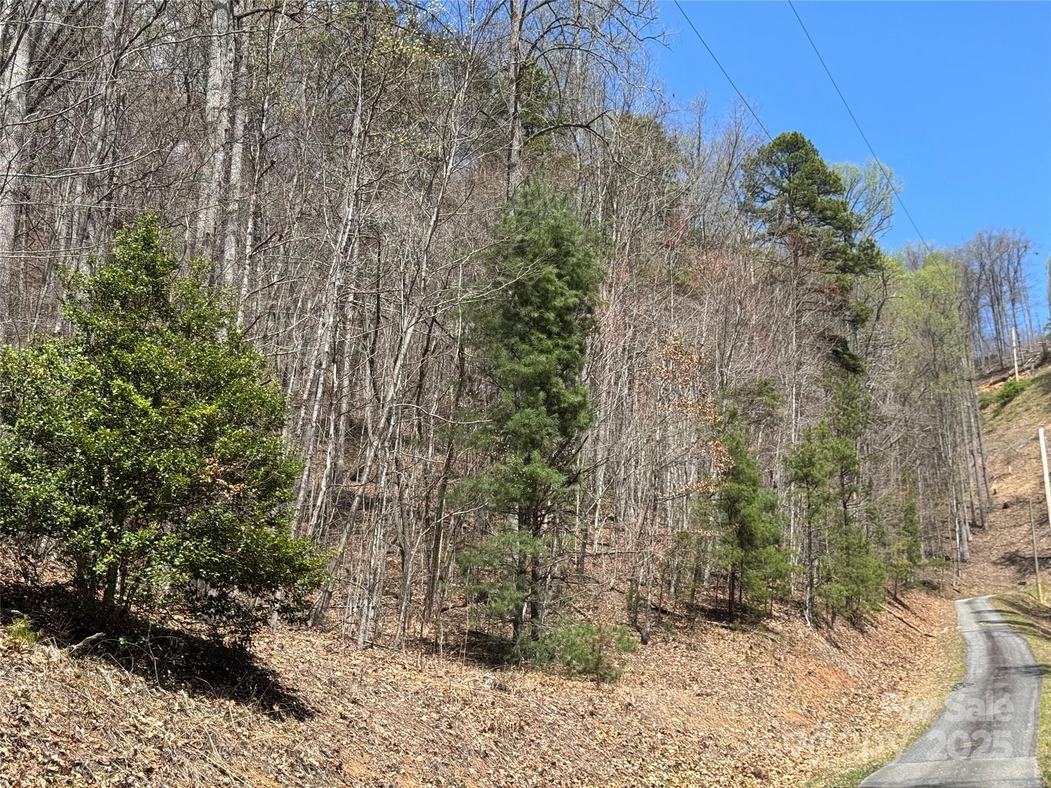 0 Forest Hills Road Bryson City, NC 28713 - Photo 3 of 4 Gallery Image 3