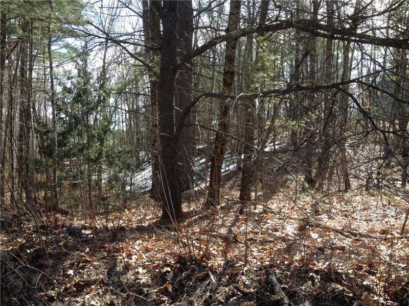 0 Silas Brown Road North Waterboro, ME 04061 - Photo 2 of 4 Land/Lot.