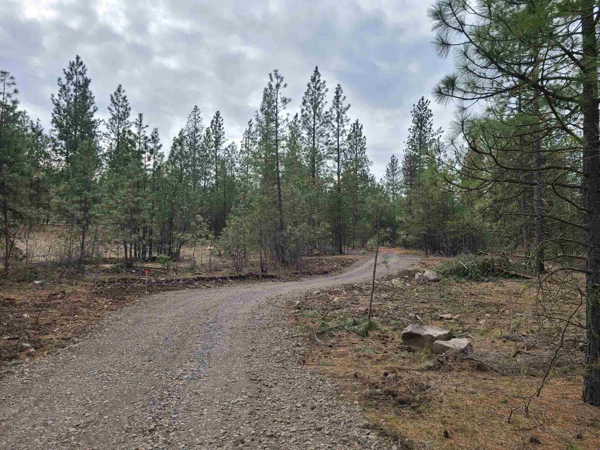 Nka West Long Lake Road Ford, WA 99013 - Photo 1 of 24 Gallery Image 1
