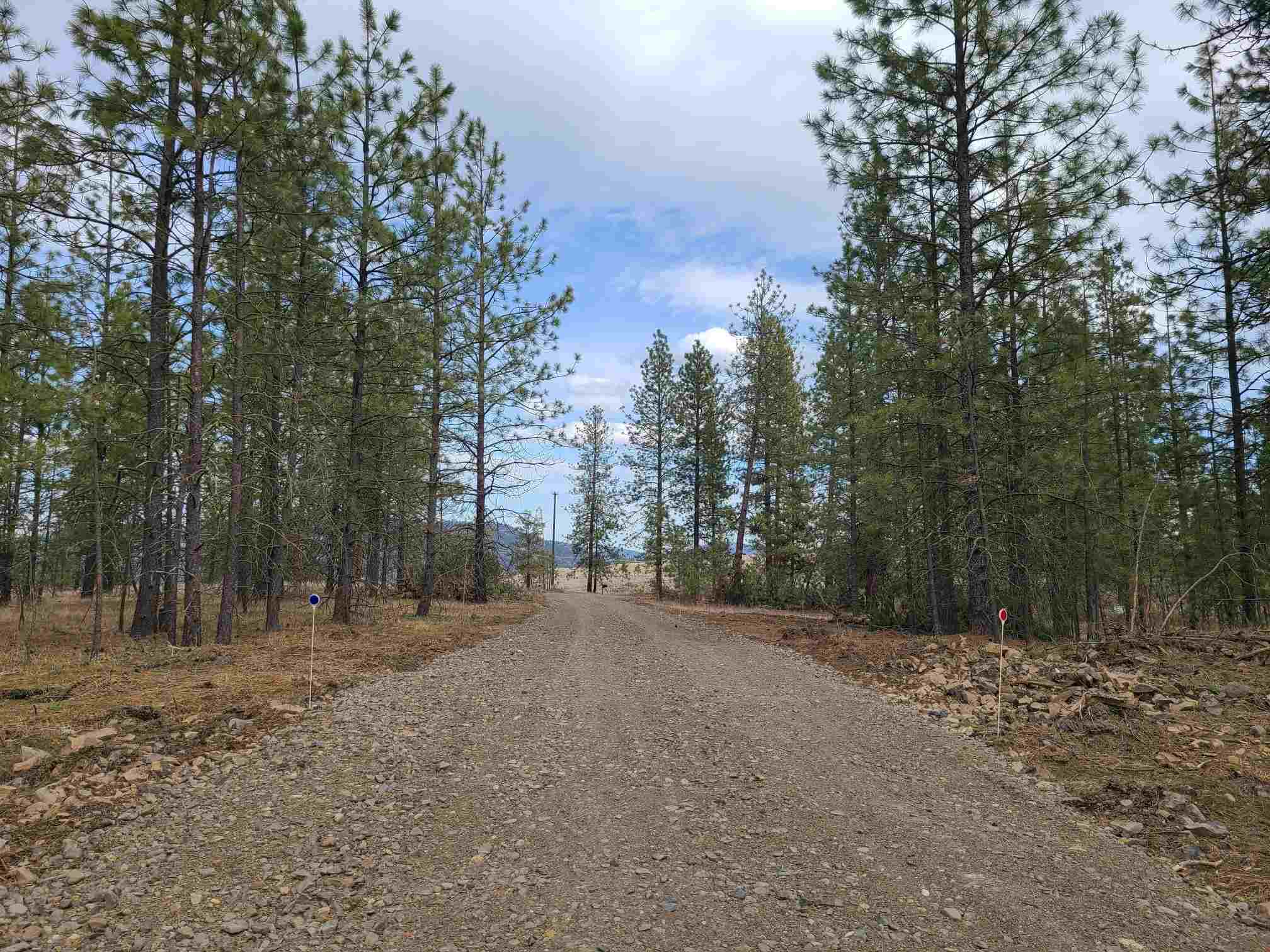 Nka West Long Lake Road Ford, WA 99013 - Photo 2 of 24 Gallery Image 2