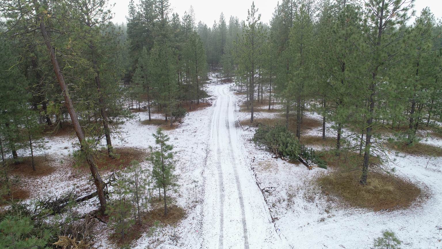 Nka West Long Lake Road Ford, WA 99013 - Photo 11 of 24 Gallery Image 11