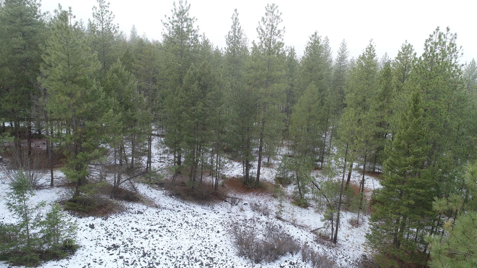 Nka West Long Lake Road Ford, WA 99013 - Photo 13 of 24 Gallery Image 13