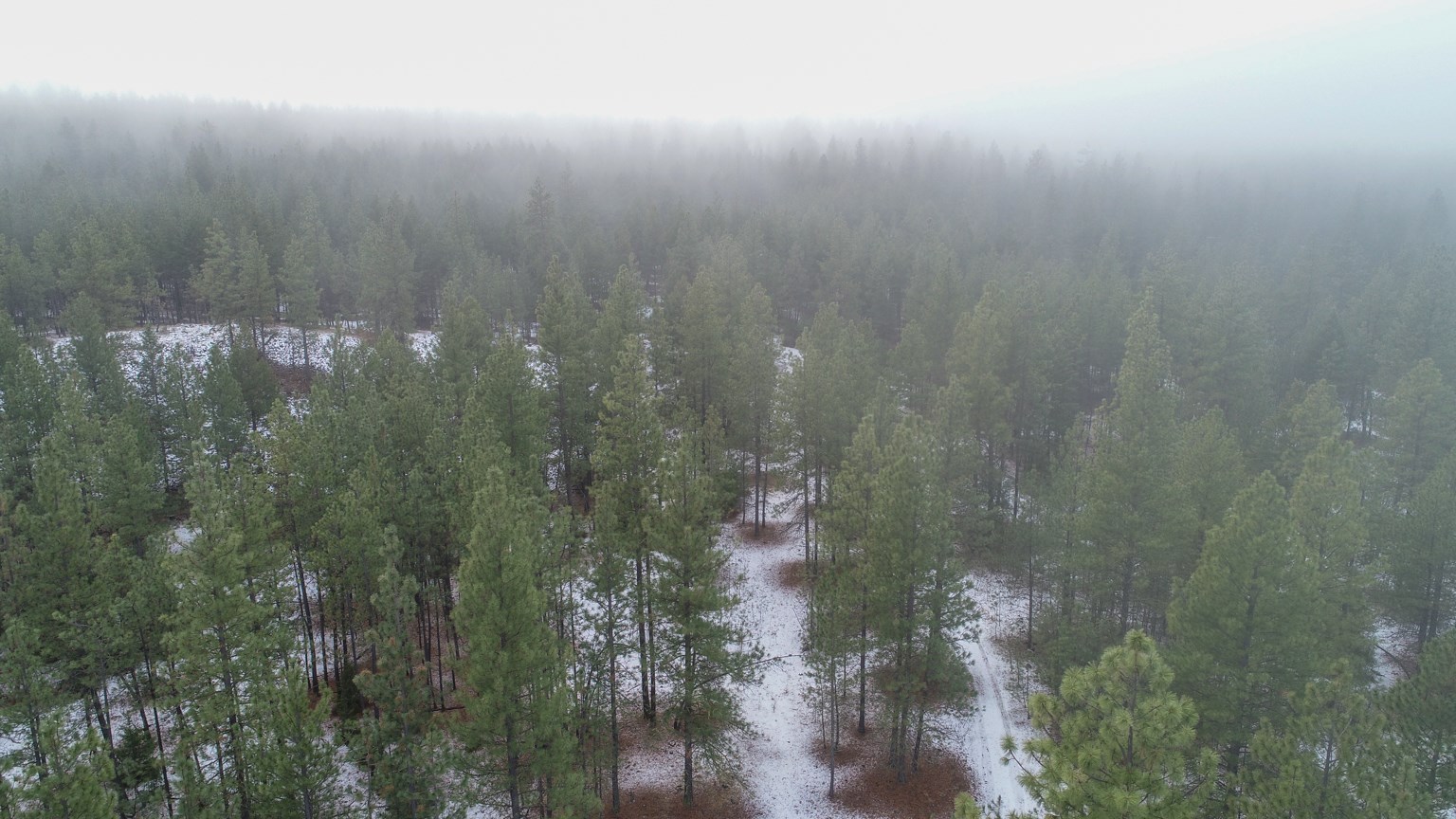 Nka West Long Lake Road Ford, WA 99013 - Photo 15 of 24 Gallery Image 15