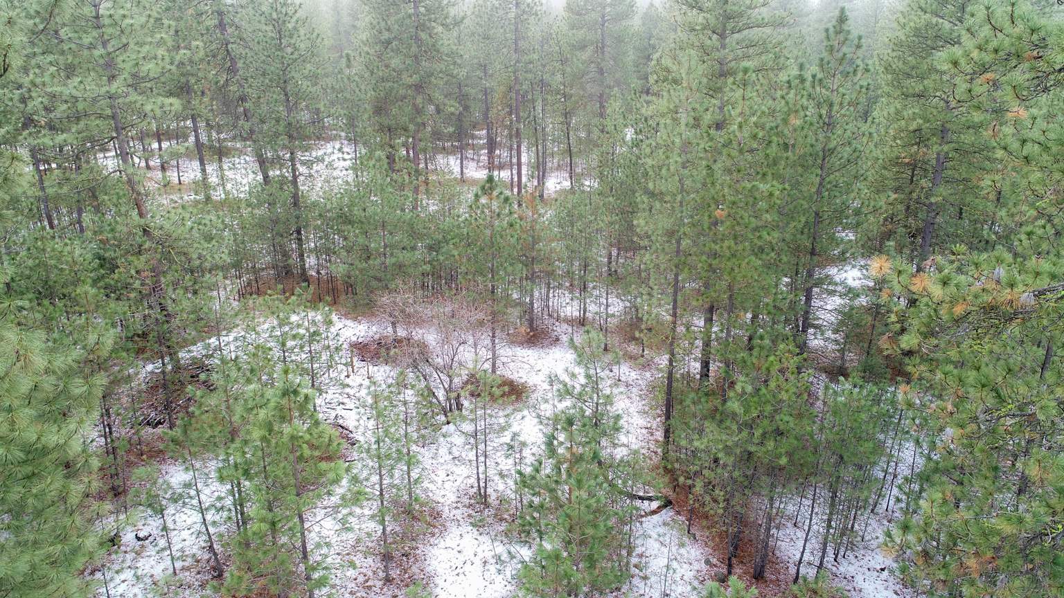 Nka West Long Lake Road Ford, WA 99013 - Photo 16 of 24 Gallery Image 16