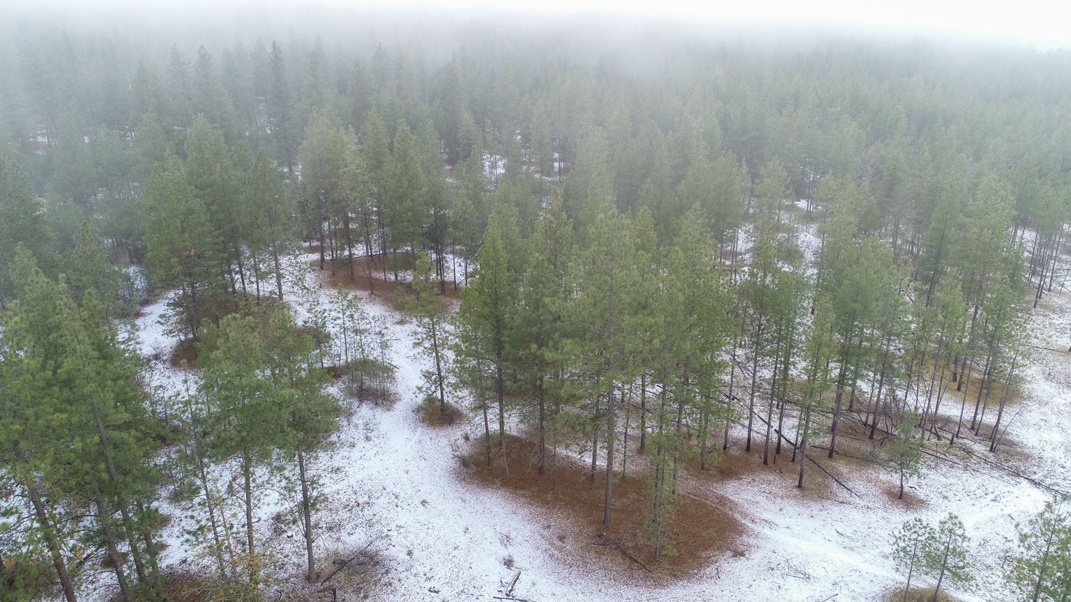 Nka West Long Lake Road Ford, WA 99013 - Photo 17 of 24 Gallery Image 17