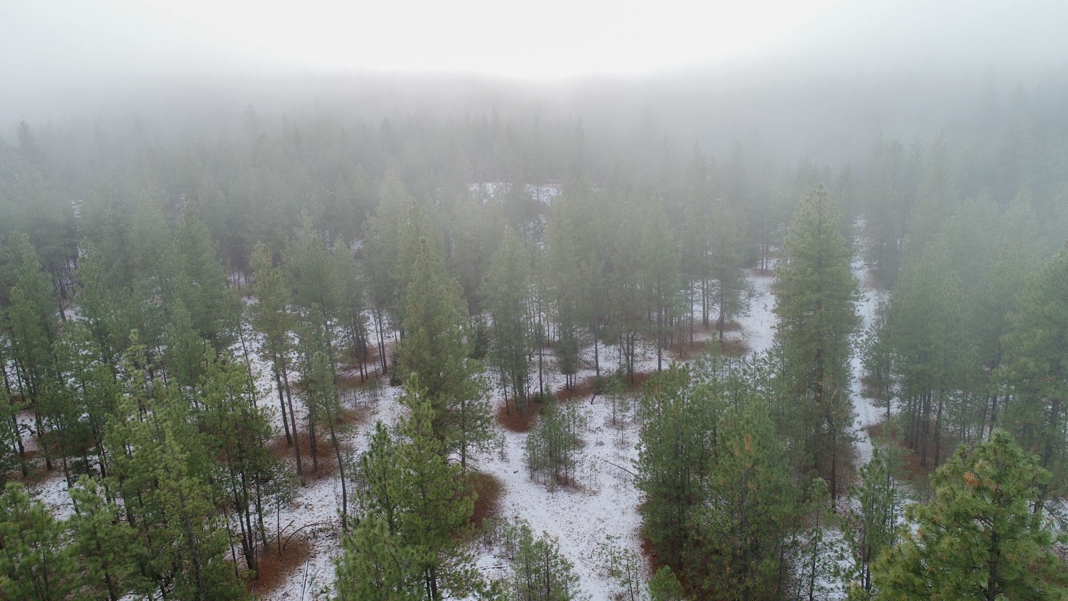 Nka West Long Lake Road Ford, WA 99013 - Photo 19 of 24 Gallery Image 19