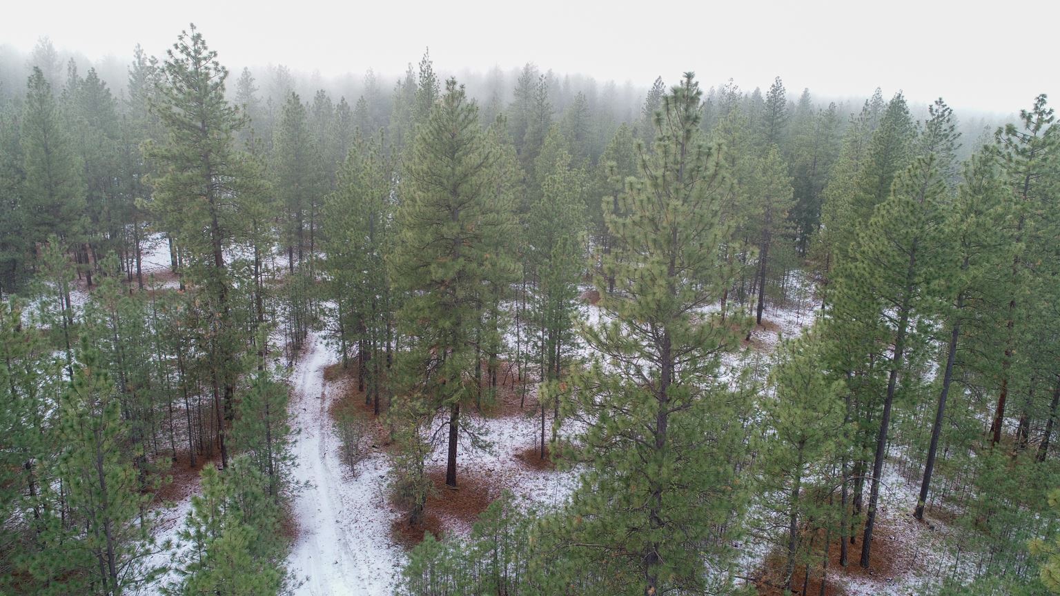 Nka West Long Lake Road Ford, WA 99013 - Photo 20 of 24 Gallery Image 20