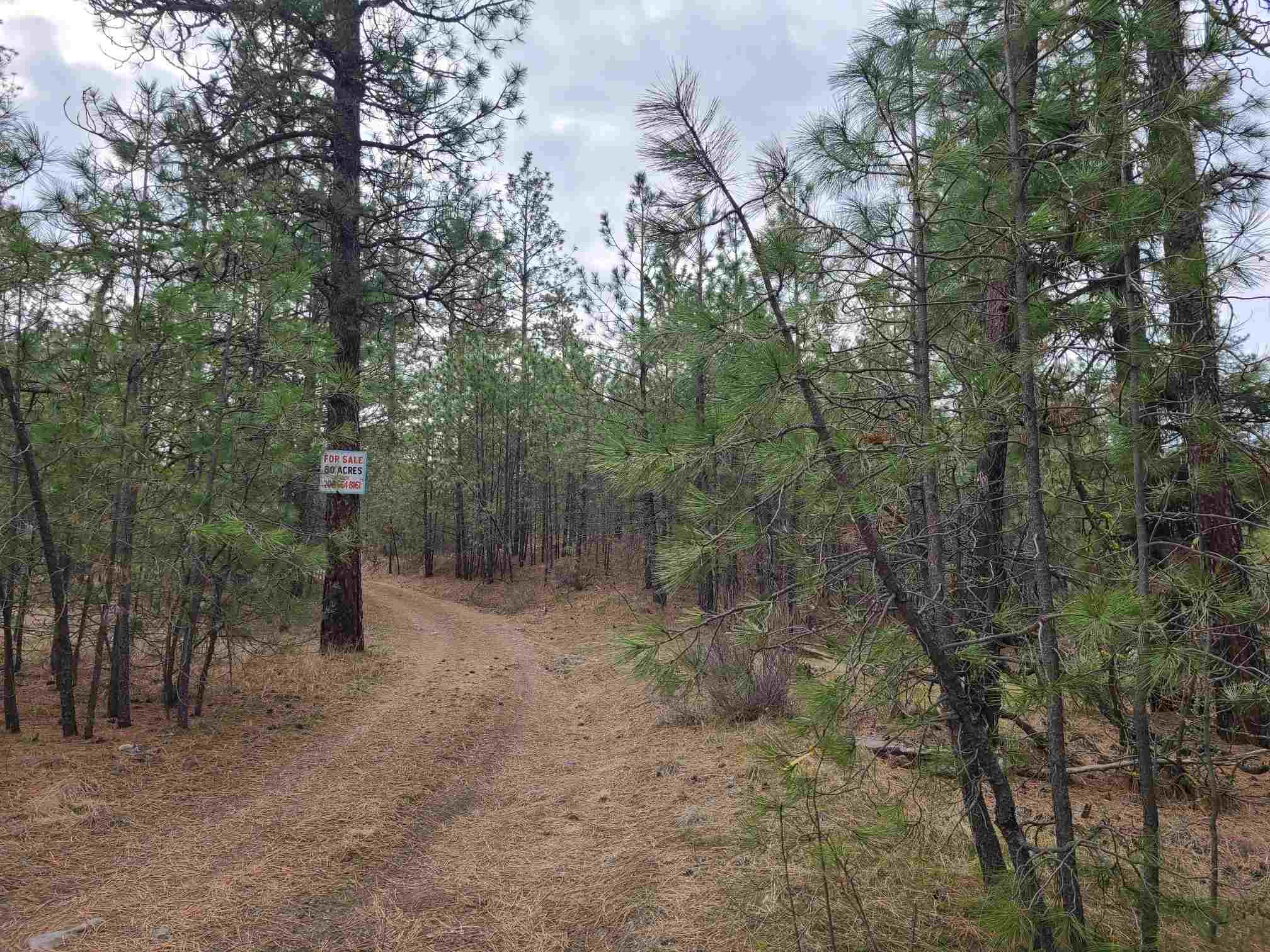 Nka West Long Lake Road Ford, WA 99013 - Photo 3 of 24 Gallery Image 3