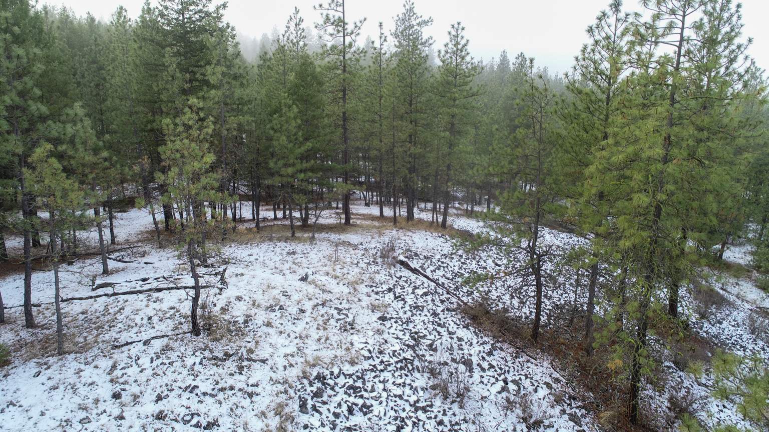 Nka West Long Lake Road Ford, WA 99013 - Photo 21 of 24 Gallery Image 21