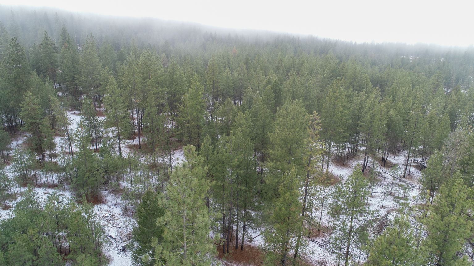 Nka West Long Lake Road Ford, WA 99013 - Photo 22 of 24 Gallery Image 22